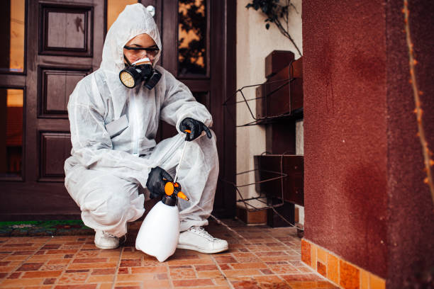 Reliable Cockroach Control contractor in Saratoga, CA by Nex Pest Control